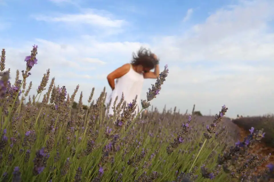 Oliendo las flores de lavanda en medio del campo