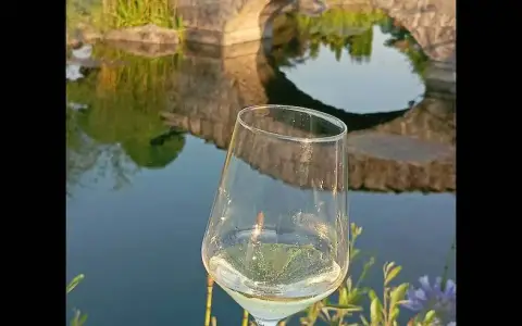 Copa de vino frente a un estanque con puente de piedra