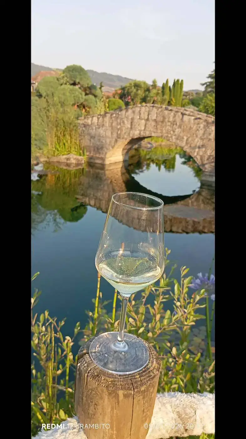 Copa de vino frente a un estanque con puente de piedra
