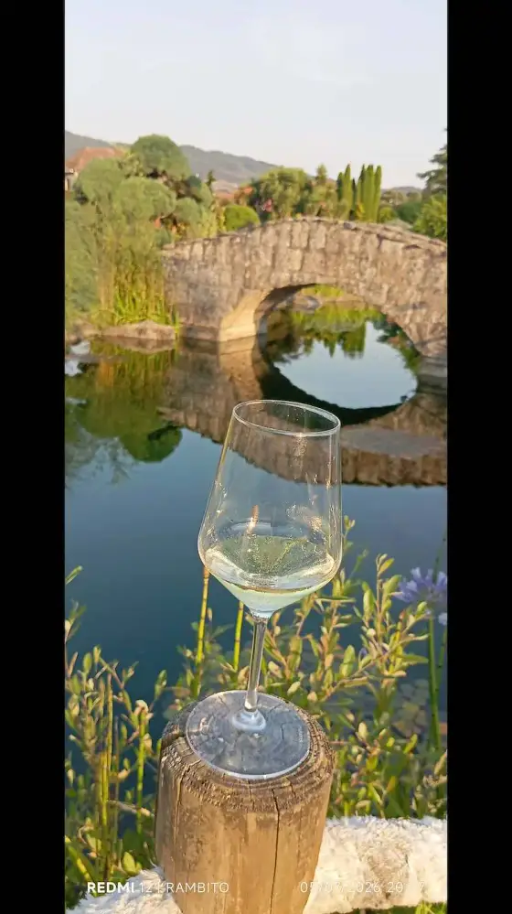 Copa de vino frente a un estanque con puente de piedra
