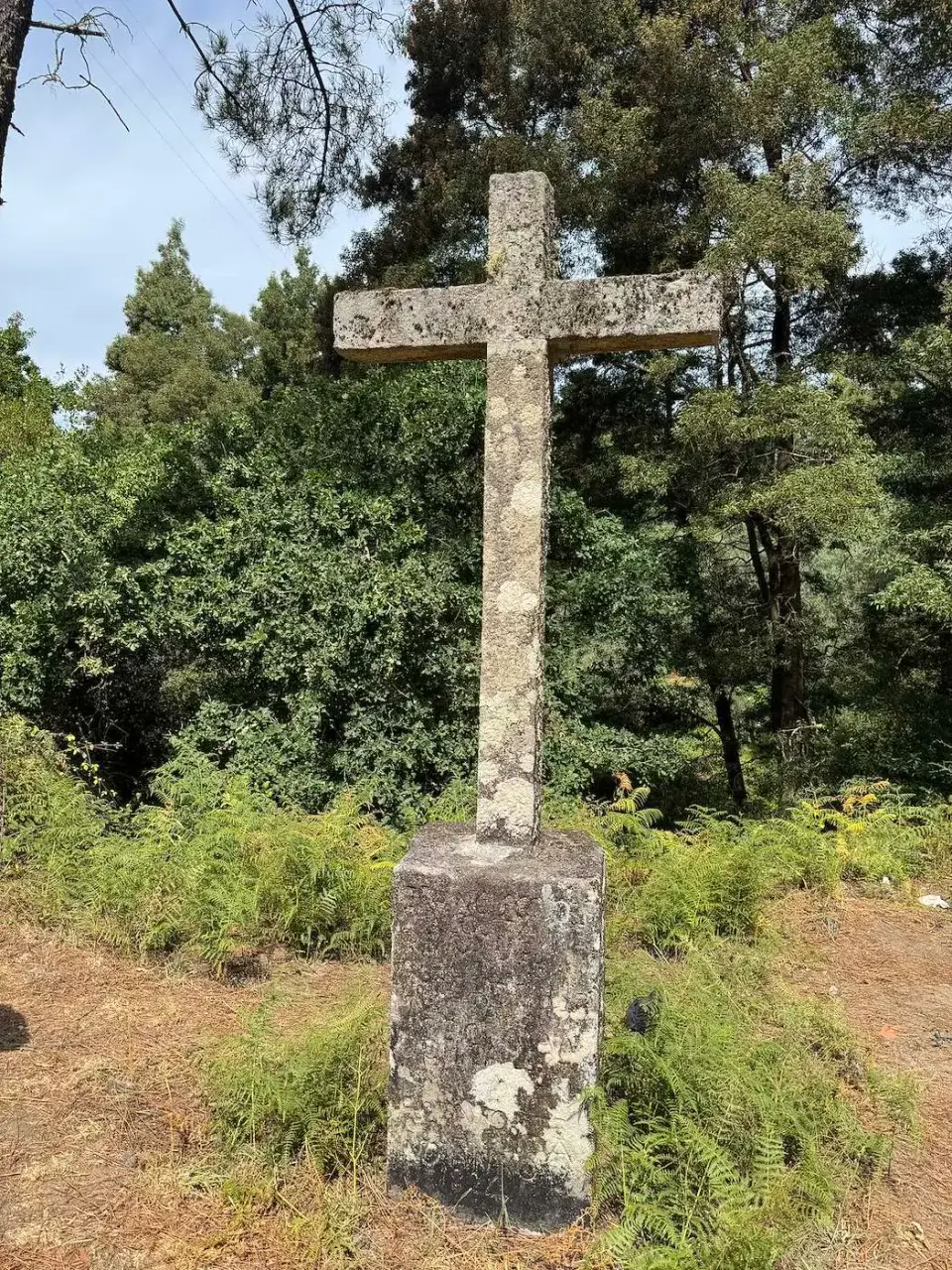 Cruz de piedra junto al sendero entre pinos