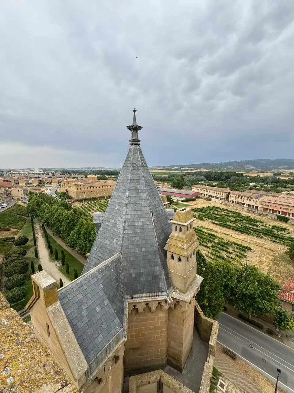 Tejado de pizarra del palacio con la llanura navarra al fondo