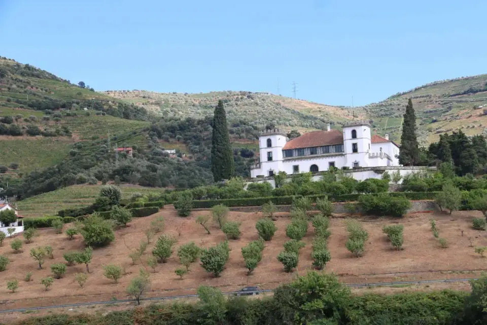 Una quinta blanca entre viñedos