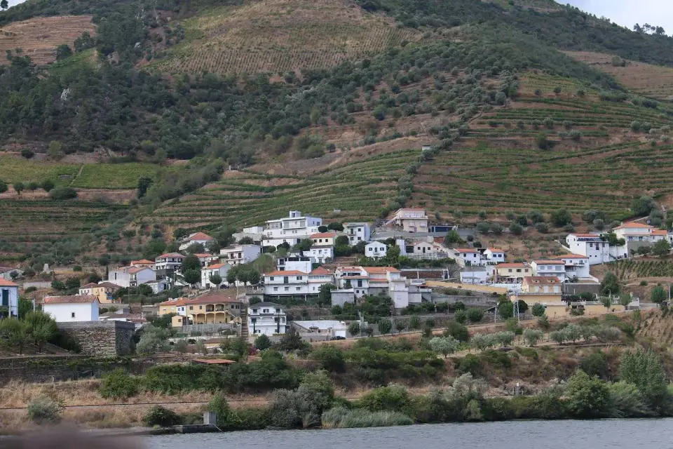 Pueblo entre viñedos en terrazas a orillas del Duero