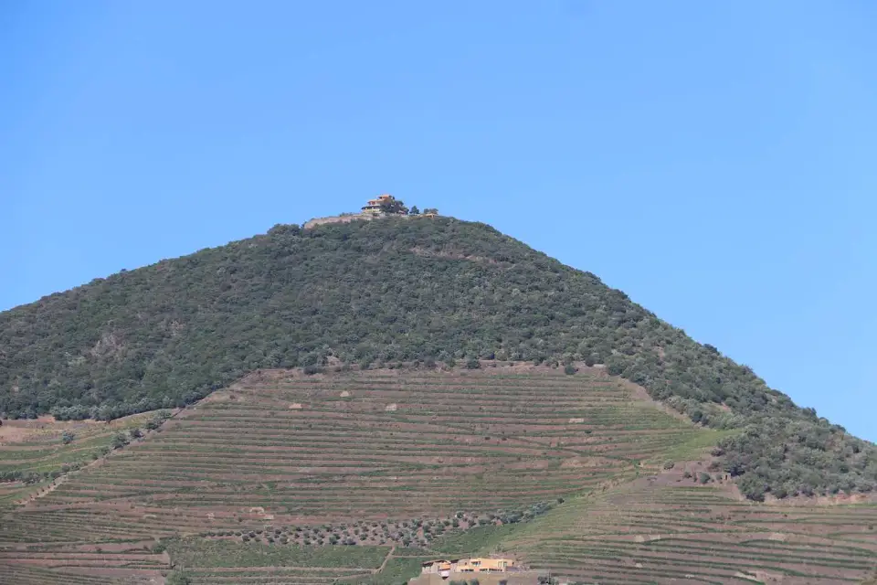 Cerro de viñedos en terrazas bajo un cielo azul