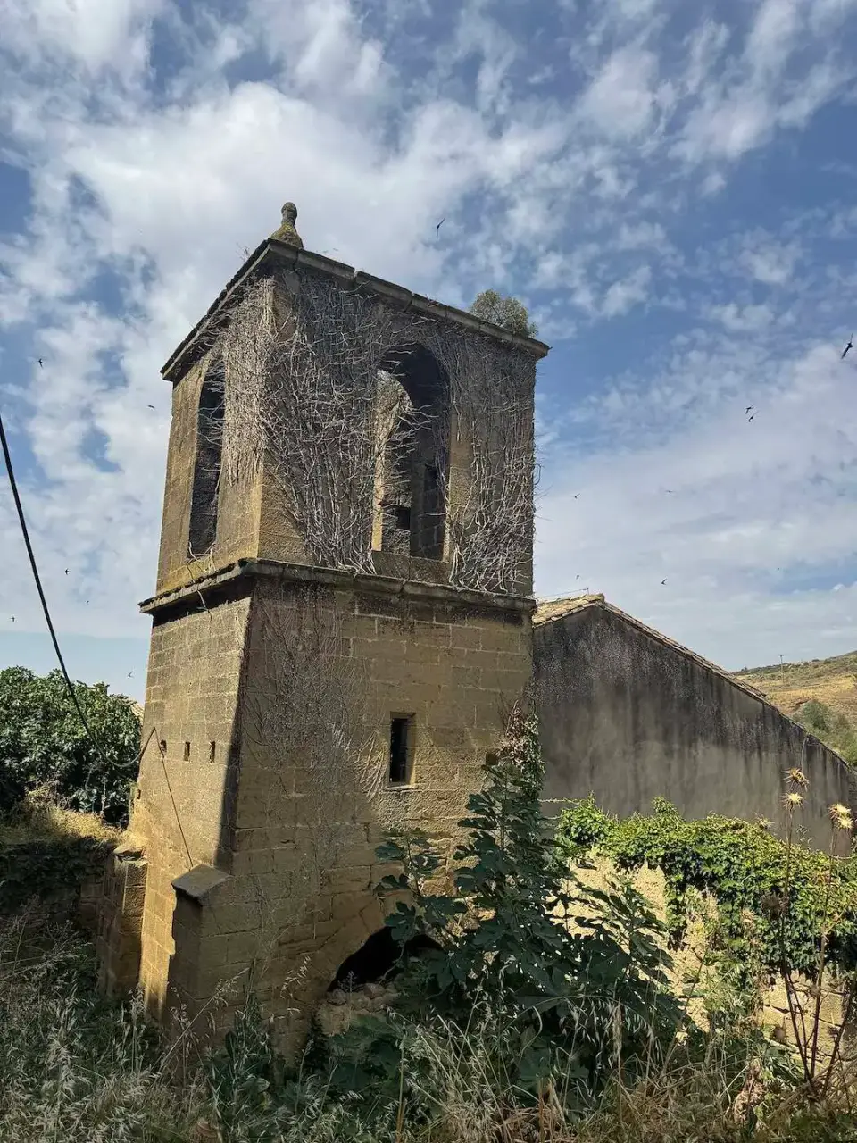Antiguo campanario de piedra rodeado de vegetación
