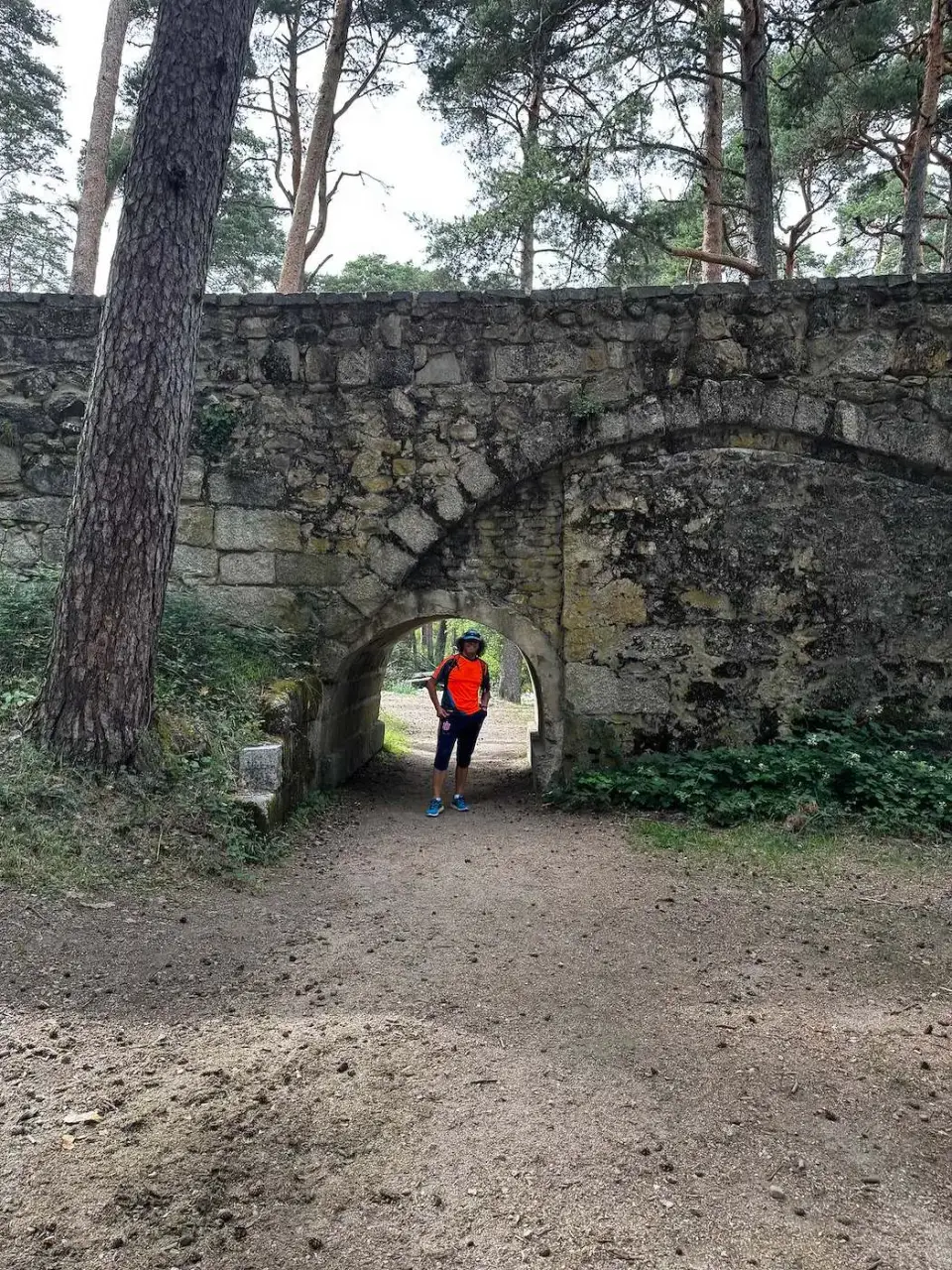 Sendero que pasa bajo un arco de piedra en el bosque